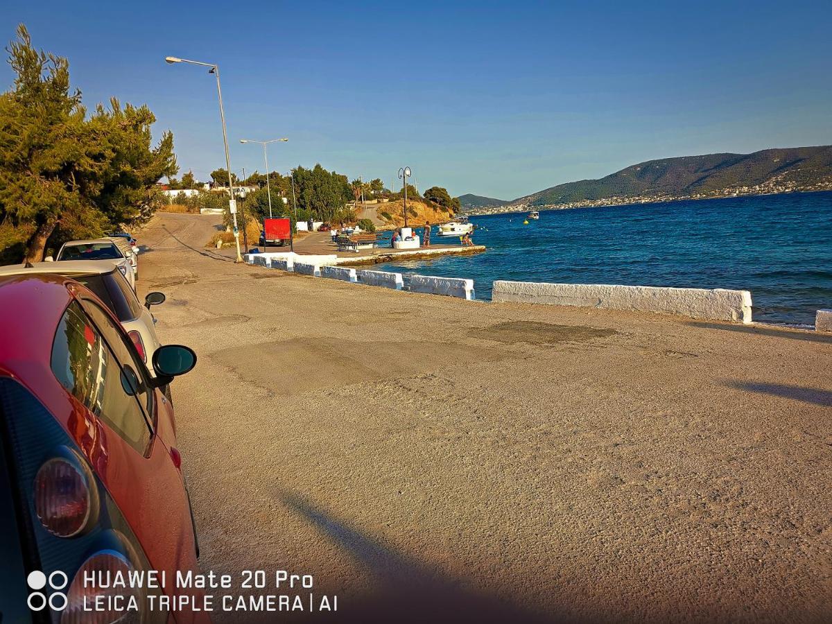 Agios Georgios  Ξένιος Ζευς Ηλιακτής. Χώρος Χαλάρωσης & Ξεκούρασης 아파트 외부 사진